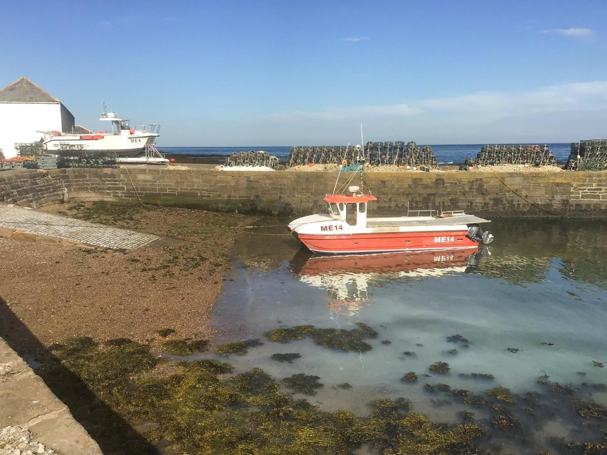 Вилла Harbour View Johnshaven Экстерьер фото